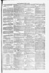 Blandford and Wimborne Telegram Friday 16 July 1880 Page 11