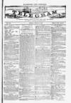 Blandford and Wimborne Telegram Friday 23 July 1880 Page 1