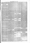 Blandford and Wimborne Telegram Friday 23 July 1880 Page 5
