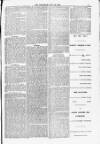 Blandford and Wimborne Telegram Friday 23 July 1880 Page 7