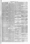 Blandford and Wimborne Telegram Friday 30 July 1880 Page 5