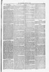 Blandford and Wimborne Telegram Friday 30 July 1880 Page 9