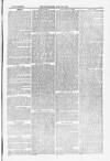 Blandford and Wimborne Telegram Friday 30 July 1880 Page 13