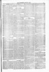 Blandford and Wimborne Telegram Friday 06 August 1880 Page 7