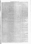 Blandford and Wimborne Telegram Friday 13 August 1880 Page 5