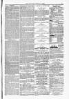 Blandford and Wimborne Telegram Friday 13 August 1880 Page 9