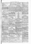 Blandford and Wimborne Telegram Friday 13 August 1880 Page 11