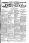 Blandford and Wimborne Telegram Friday 20 August 1880 Page 1