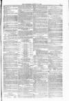 Blandford and Wimborne Telegram Friday 20 August 1880 Page 11