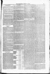 Blandford and Wimborne Telegram Friday 27 August 1880 Page 3