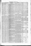 Blandford and Wimborne Telegram Friday 27 August 1880 Page 5