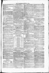 Blandford and Wimborne Telegram Friday 27 August 1880 Page 11