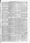 Blandford and Wimborne Telegram Friday 03 September 1880 Page 5