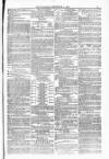 Blandford and Wimborne Telegram Friday 03 September 1880 Page 11