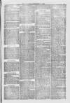 Blandford and Wimborne Telegram Friday 17 September 1880 Page 5