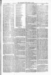Blandford and Wimborne Telegram Friday 17 September 1880 Page 7