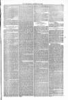Blandford and Wimborne Telegram Friday 22 October 1880 Page 5