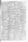 Blandford and Wimborne Telegram Friday 22 October 1880 Page 11