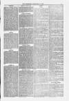 Blandford and Wimborne Telegram Friday 19 November 1880 Page 5