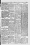 Blandford and Wimborne Telegram Friday 03 December 1880 Page 5