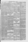 Blandford and Wimborne Telegram Friday 03 December 1880 Page 7