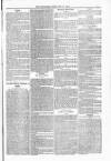 Blandford and Wimborne Telegram Friday 17 December 1880 Page 5