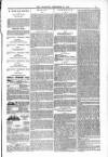 Blandford and Wimborne Telegram Friday 17 December 1880 Page 9