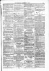 Blandford and Wimborne Telegram Friday 17 December 1880 Page 11