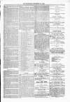 Blandford and Wimborne Telegram Friday 24 December 1880 Page 7