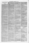 Blandford and Wimborne Telegram Friday 24 December 1880 Page 13