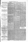 Blandford and Wimborne Telegram Friday 31 December 1880 Page 3