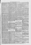 Blandford and Wimborne Telegram Friday 31 December 1880 Page 5