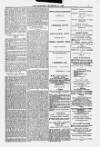 Blandford and Wimborne Telegram Friday 31 December 1880 Page 7