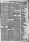Blandford and Wimborne Telegram Friday 07 January 1881 Page 1