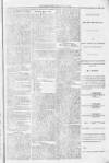 Blandford and Wimborne Telegram Friday 07 January 1881 Page 3