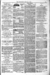 Blandford and Wimborne Telegram Friday 07 January 1881 Page 5