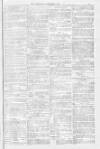 Blandford and Wimborne Telegram Friday 07 January 1881 Page 7