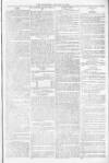 Blandford and Wimborne Telegram Friday 14 January 1881 Page 5