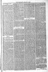 Blandford and Wimborne Telegram Friday 14 January 1881 Page 7