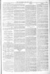 Blandford and Wimborne Telegram Friday 14 January 1881 Page 9