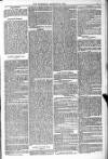 Blandford and Wimborne Telegram Friday 21 January 1881 Page 7