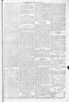 Blandford and Wimborne Telegram Friday 21 January 1881 Page 9
