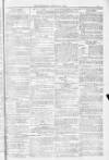 Blandford and Wimborne Telegram Friday 21 January 1881 Page 13