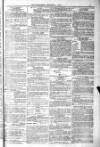 Blandford and Wimborne Telegram Friday 21 January 1881 Page 15