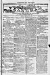 Blandford and Wimborne Telegram Friday 28 January 1881 Page 1