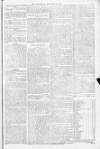 Blandford and Wimborne Telegram Friday 28 January 1881 Page 3