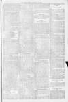 Blandford and Wimborne Telegram Friday 28 January 1881 Page 7