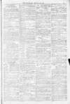 Blandford and Wimborne Telegram Friday 28 January 1881 Page 11