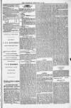 Blandford and Wimborne Telegram Friday 18 February 1881 Page 3
