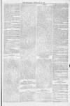 Blandford and Wimborne Telegram Friday 18 February 1881 Page 5
